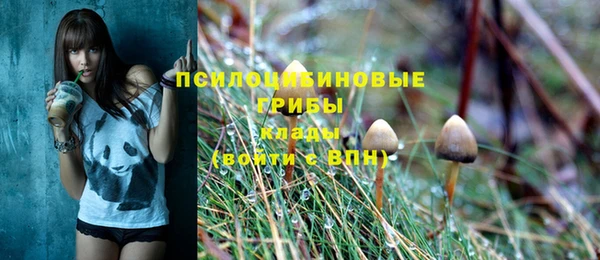 прущая мука Киреевск